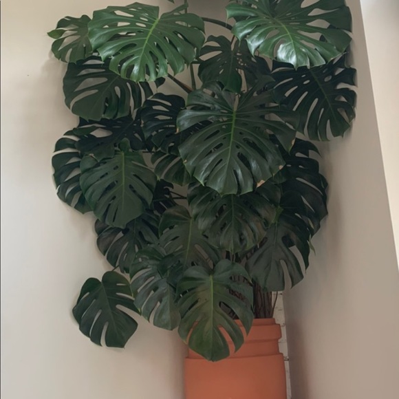 Hi! - Picture 1 of 1